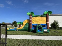 Paradise Palms bounce house double lane water slide combo