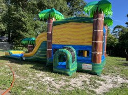 D1CD1B0A 8BB2 4AF8 BD13 EA1695452EBB 1725283202 Paradise Palms bounce house double lane water slide combo