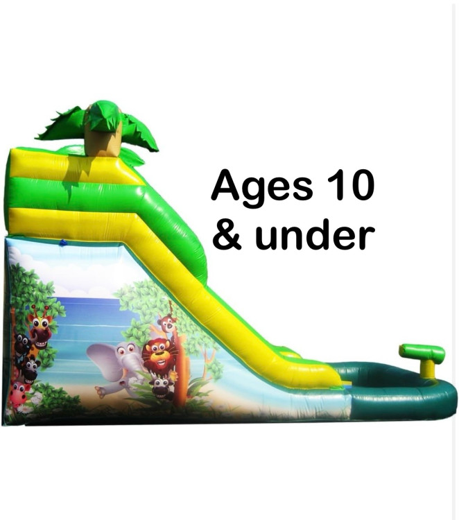 12ft Safari water slide